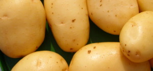 patate-1508x706_c