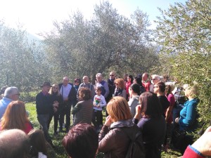 1 - Olivando - 15.11.2015 a Vietri di Potenza